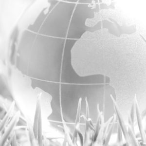 Growth centers and conscious conference communities